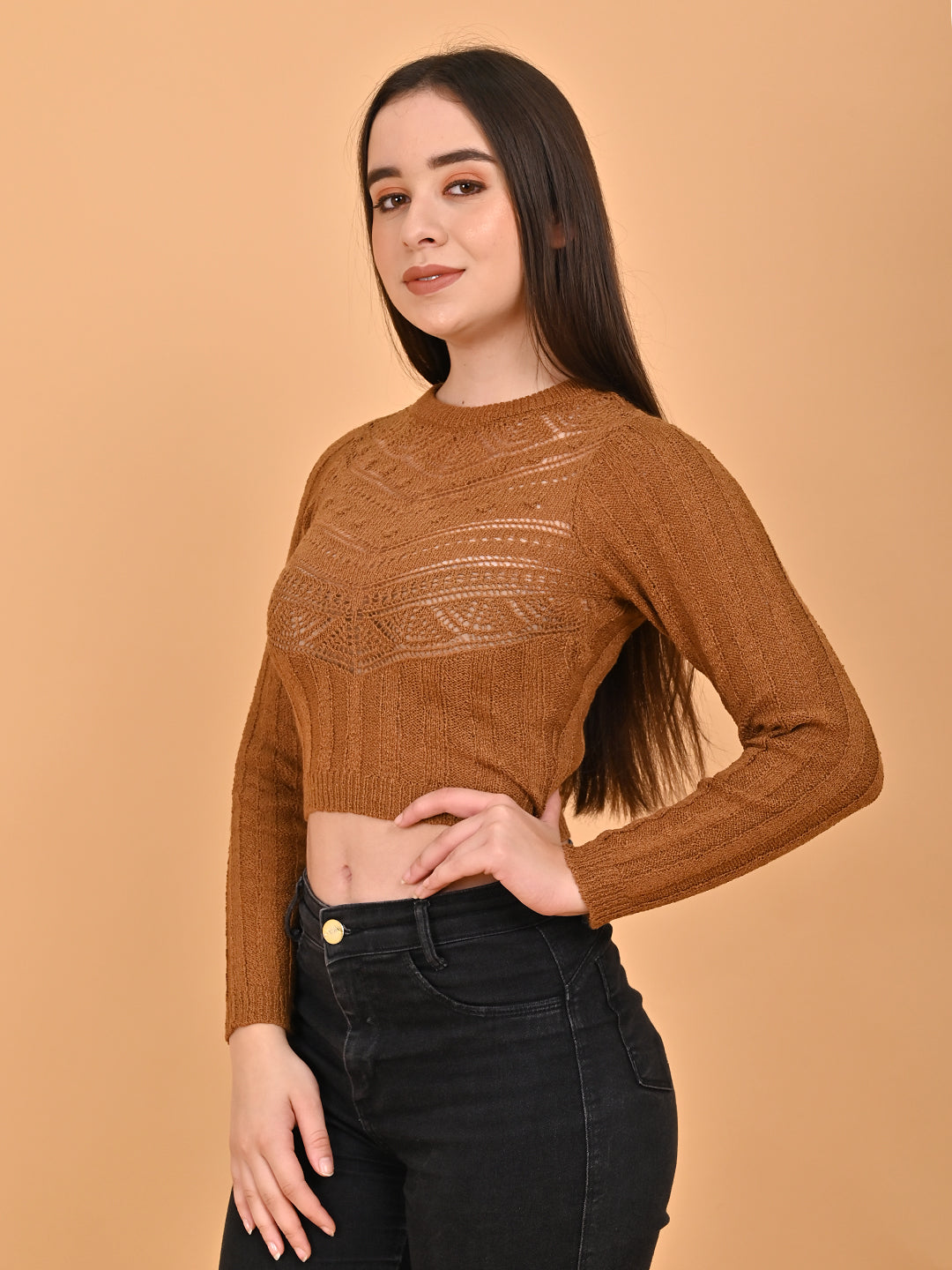 Acrylic Round Neck with Full Sleeve Brown sweater
